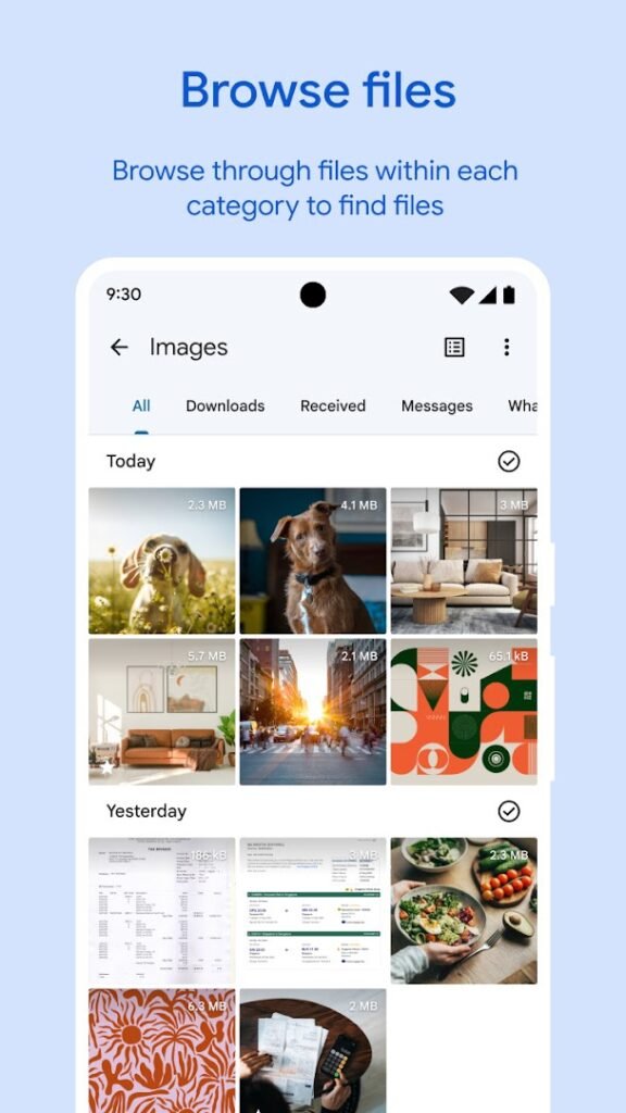 Files by Google screenshot